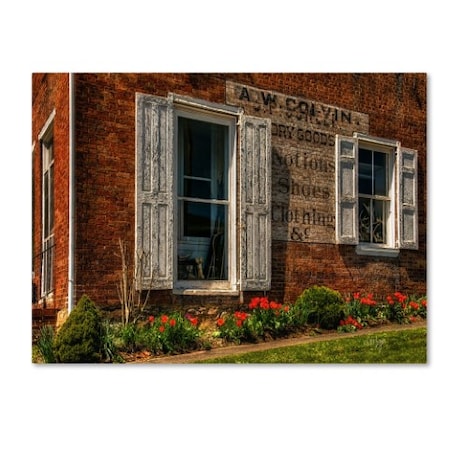 Lois Bryan 'Country Store' Canvas Art,22x32